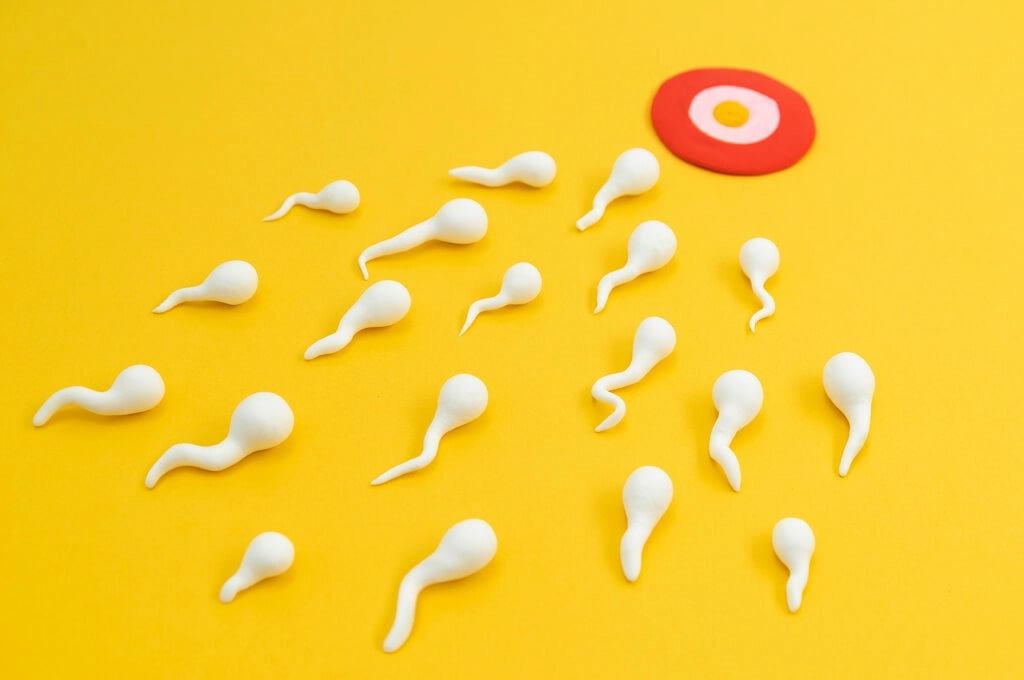 Может ли CBD улучшить секс? Может ли CBD улучшить секс?